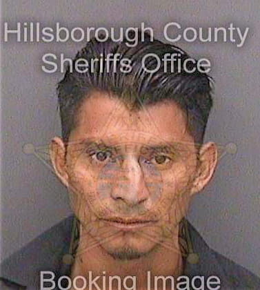 Luisjuan Andreas - Hillsborough County, FL 