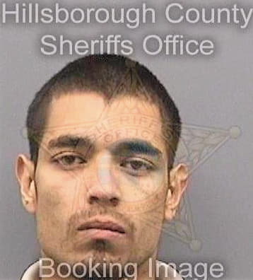 Belmontes Luis - Hillsborough County, FL 