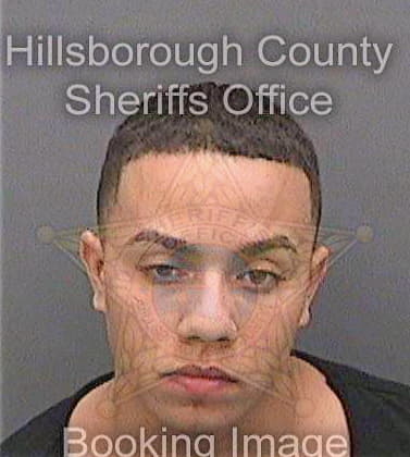 Boyer Samuel - Hillsborough County, FL 