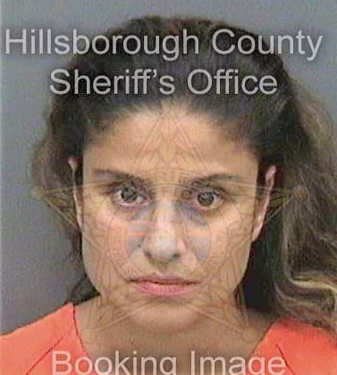 Elmisarabi Solmaz - Hillsborough County, FL 