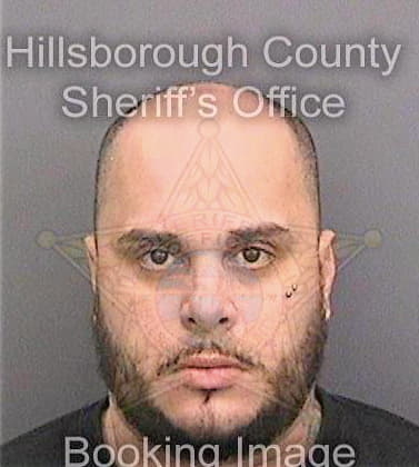 Pineda Anthony - Hillsborough County, FL 