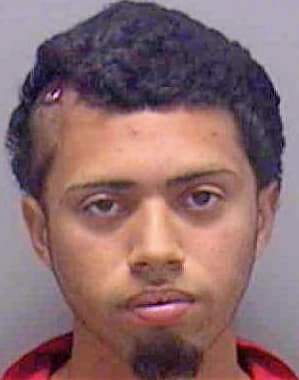 Vega Danny - Lee County, FL 