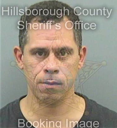 Diaz Jose - Hillsborough County, FL 