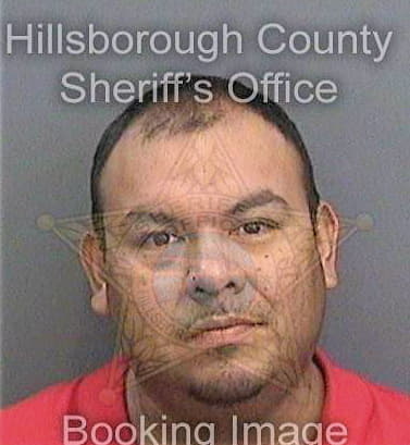 Dominguez Adrian - Hillsborough County, FL 