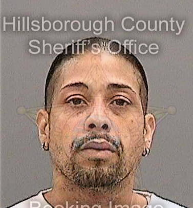 Trinidad Luis - Hillsborough County, FL 