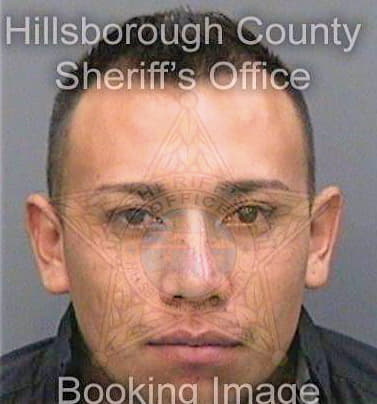 Sanchezvalencia Victor - Hillsborough County, FL 