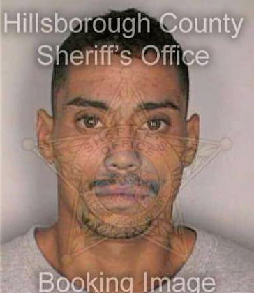 Gonzalez Adalberto - Hillsborough County, FL 