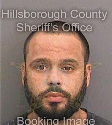 Perez Antonio - Hillsborough County, FL 