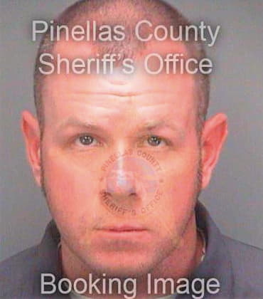 Cobb Brian - Pinellas County, FL 