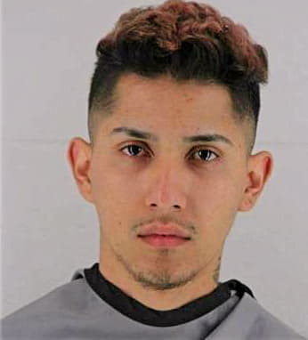 Cerritos Felipe - Johnson County, KS 
