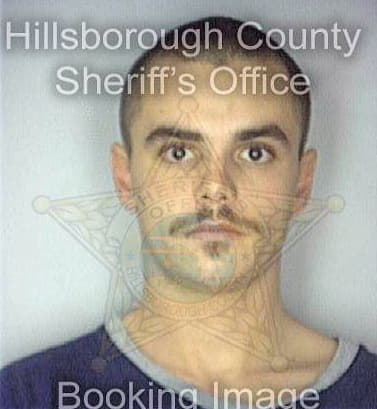 Dixon Stevenson - Hillsborough County, FL 