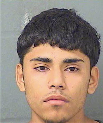 Alfaroperez Jose - PalmBeach County, FL 