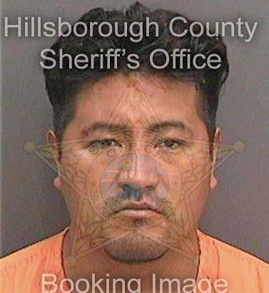 Floreshernandez Jhonny - Hillsborough County, FL 