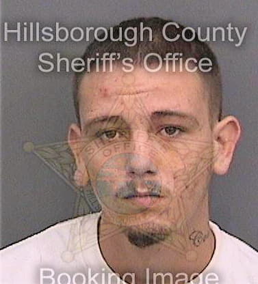 Hamrick Kyle - Hillsborough County, FL 