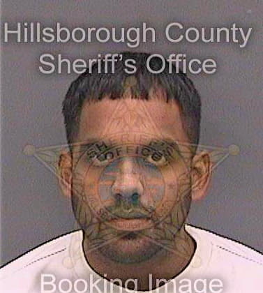 Mansingh Satchind - Hillsborough County, FL 