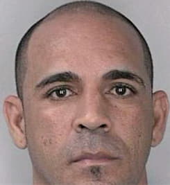 Martinez Edwin - Hillsborough County, FL 