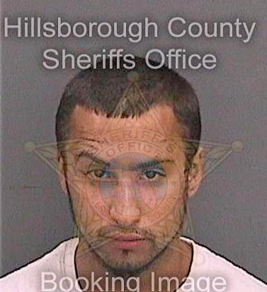 Freyre Avram - Hillsborough County, FL 