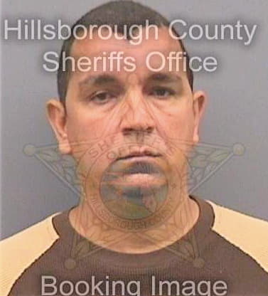 Gonzalez Ernesto - Hillsborough County, FL 