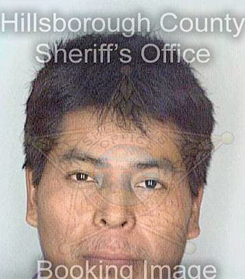 Mendezreynoso Rafael - Hillsborough County, FL 