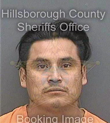 Feliperamirez Cornelio - Hillsborough County, FL 