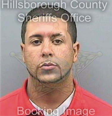 Perez Robert - Hillsborough County, FL 