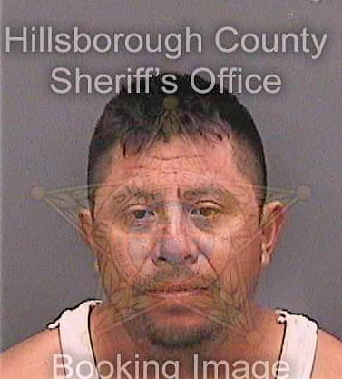 Ordazlopez Luis - Hillsborough County, FL 