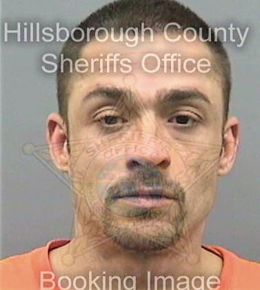 Burnham Bryan - Hillsborough County, FL 