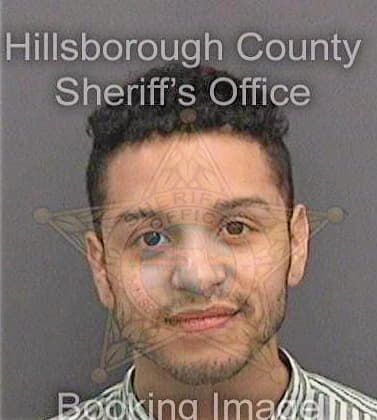 Garzon Juan - Hillsborough County, FL 