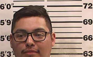 Rodriguez Aaron - Navarro County, TX 