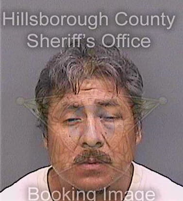 Mateo Arnulfo - Hillsborough County, FL 