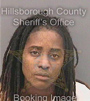 Michael Tashara - Hillsborough County, FL 