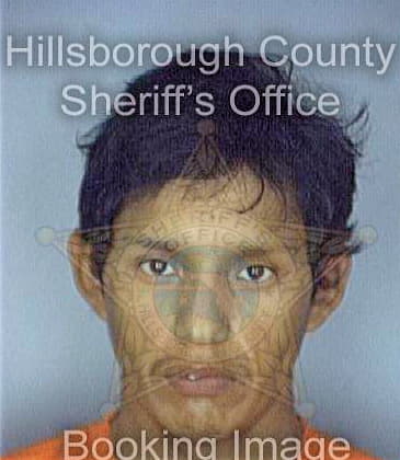 Guevana Humberto - Hillsborough County, FL 