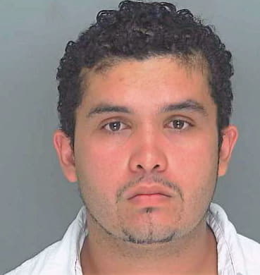 Leonardo Sergio - Douglas County, GA 