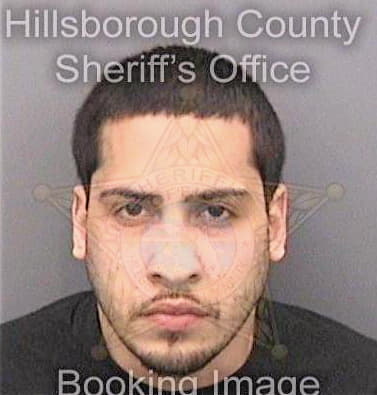 Medina Joshua - Hillsborough County, FL 