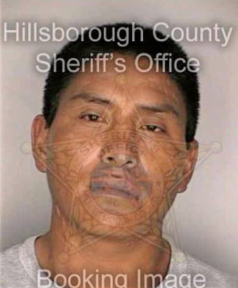 Jimenezgomez Manuel - Hillsborough County, FL 