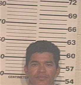 Alcides Ramon - Hidalgo County, TX 