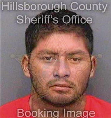 Levanohernandez Josue - Hillsborough County, FL 