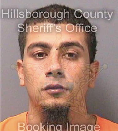 Martinez Pedro - Hillsborough County, FL 