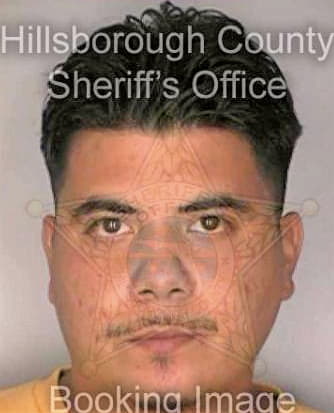 Soto Andres - Hillsborough County, FL 