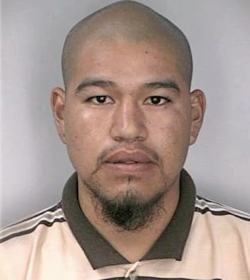 Silva Juan - Hillsborough County, FL 