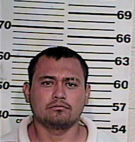 Zarate Omar - Hidalgo County, TX 