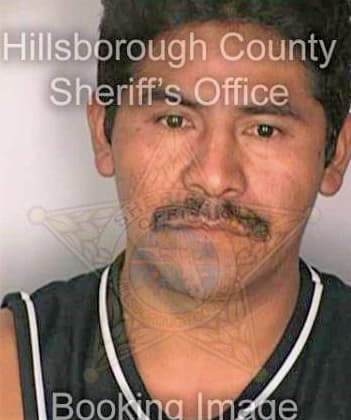 Mendozalopez Francisco - Hillsborough County, FL 