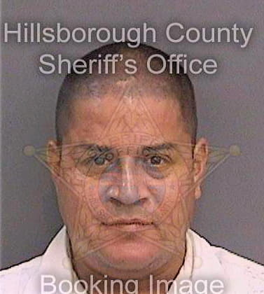 Cortes David - Hillsborough County, FL 