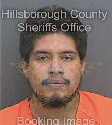 Gonzalez Diego - Hillsborough County, FL 