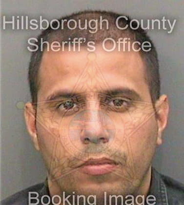 Linaresveiga Reinaldo - Hillsborough County, FL 