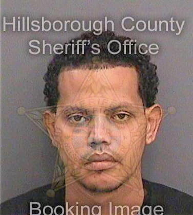 Suarezperez Jose - Hillsborough County, FL 