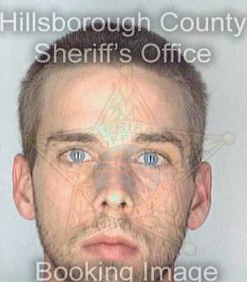 Mcguckin Sean - Hillsborough County, FL 