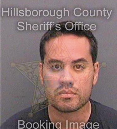 Martinez Dennis - Hillsborough County, FL 