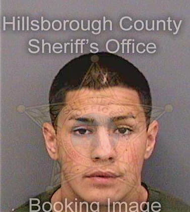 Villalobos Jose - Hillsborough County, FL 