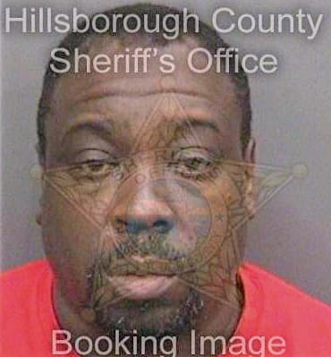 Simmons Michael - Hillsborough County, FL 